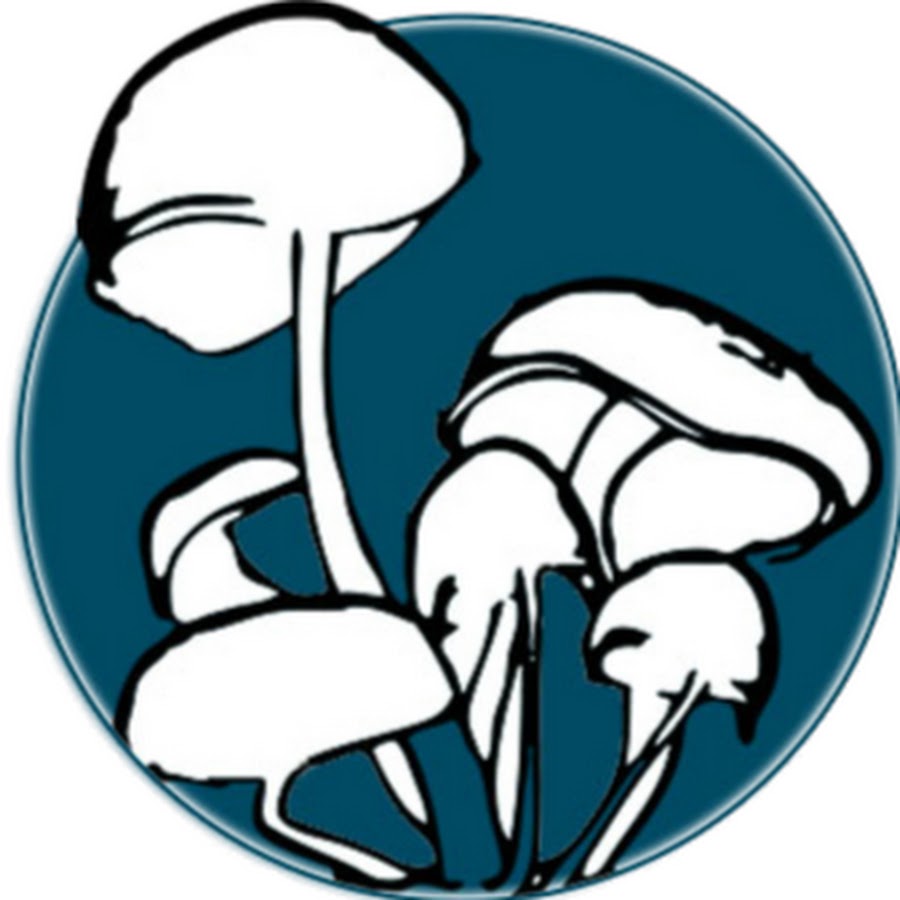 Midwest Grow Kits YouTube