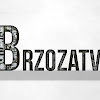 What could Brzoza TV buy with $120.85 thousand?