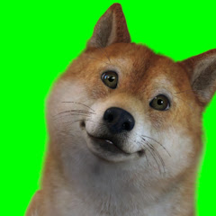 Mado DOGちゃんねる