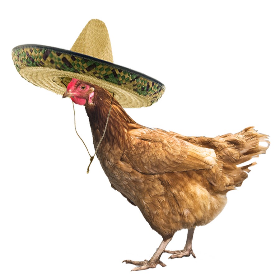 Mexican Chicken 