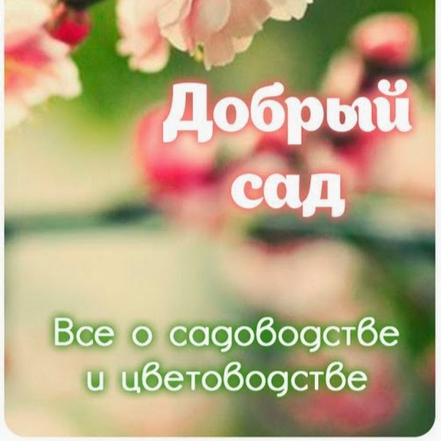 Питомник Добрый Сад Интернет Магазин