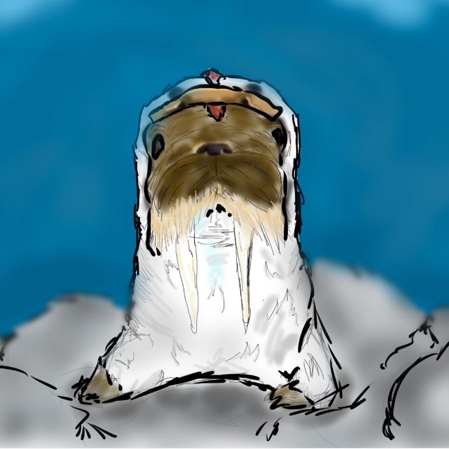 Walrus Eat Chicken Youtube - 