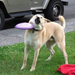 Re N