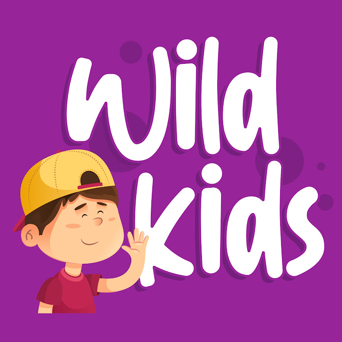 Wild Kids Animation Net Worth & Earnings (2024)