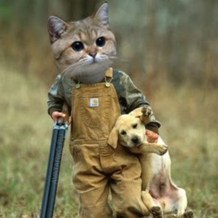 ��� ��� �������� �������