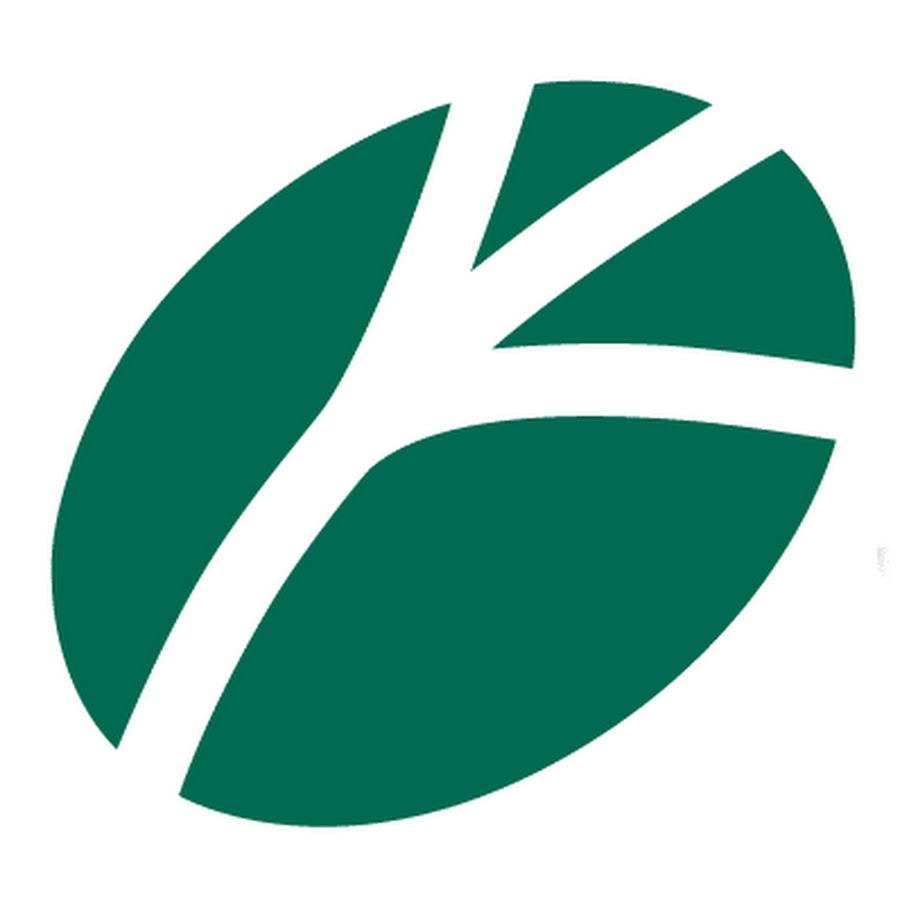 Bayerische Staatsforsten - YouTube