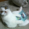 FellowGaming