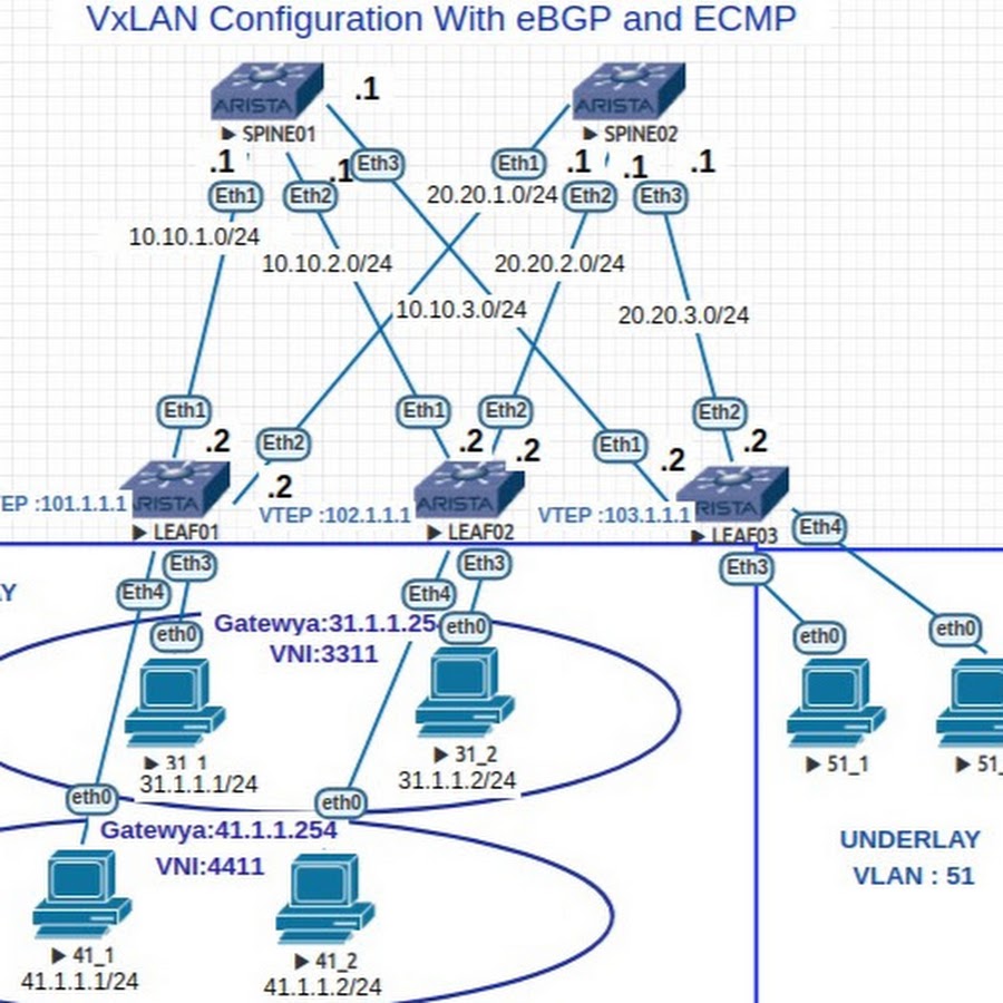 NetworkEvolution 