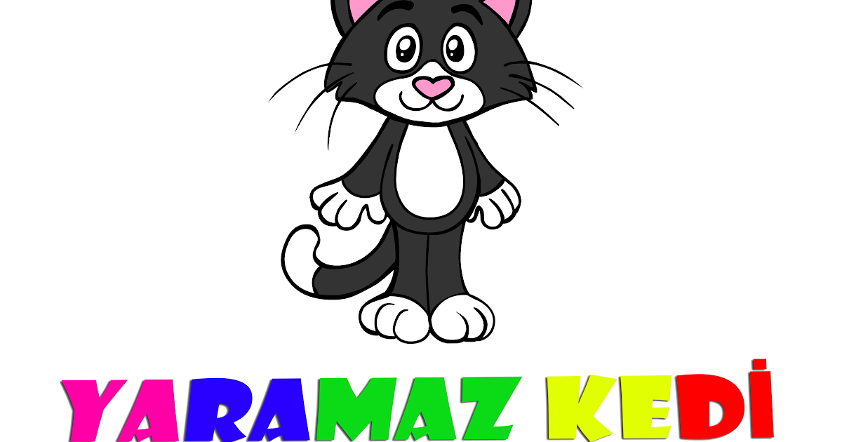 Mucize Uğur Böceği Ve Kara Kedi Boyamaları boombich