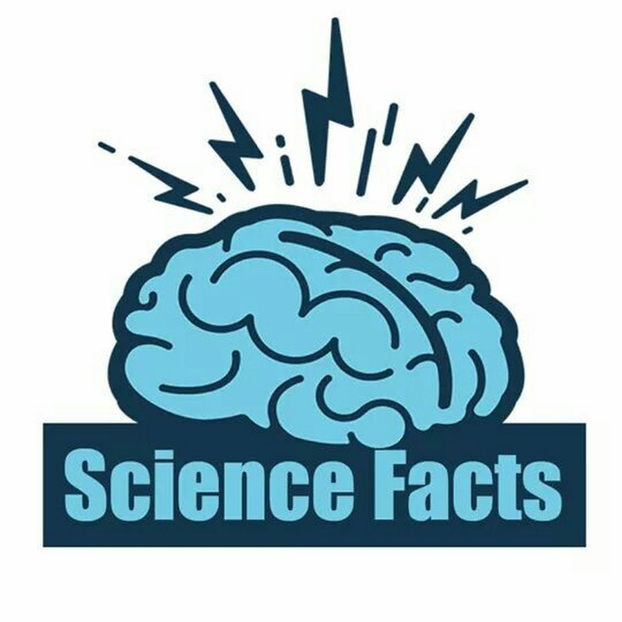 Scientific facts. Interesting facts about scientists. Salty tears. "an interesting scientific fact". название естествознания смешное.
