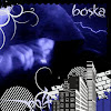 What could Boska45 Orlinz' News buy with $100 thousand?
