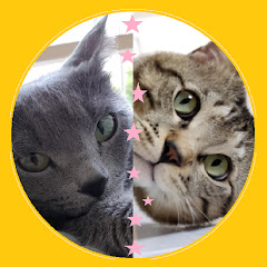 ロンポちゃんねる