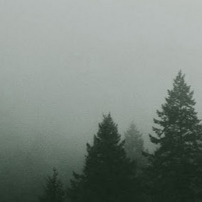 Technique Tools Net Worth & Earnings (2026)