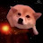 Space Doggo