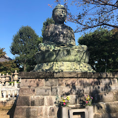 チャンネル金豚