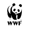 What could WWF Italia buy with $100 thousand?