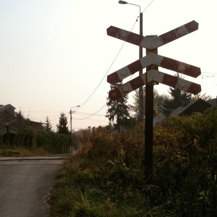 artu927 - kolej w Małopolsce i nie tylko Net Worth & Earnings (2026)