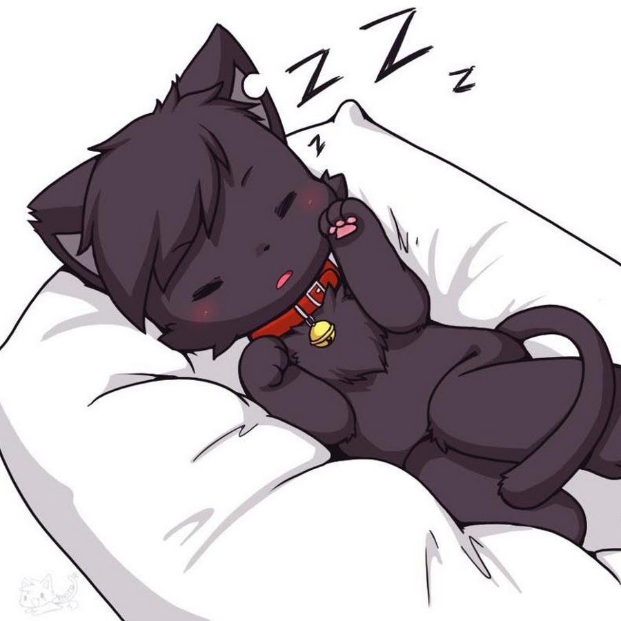 Black cat furry. Фурри чёрный кот. Чёрные фурри коты. Фурри чёрная кошка. Фурри кошка темная