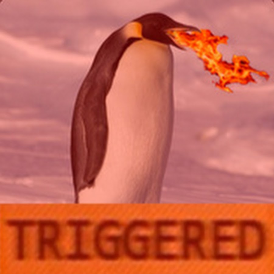 Trigger net. Triggered.