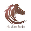What could KLU Video Studio buy with $245.8 thousand?