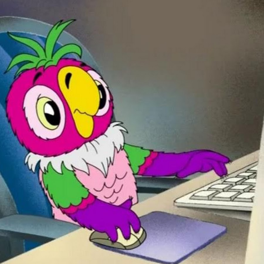 попугай кеша фото. парикмахерская кеша белово. кеша томский. кеша надпись. кеша надпись.