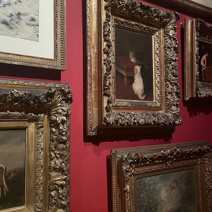 Sofi Maure Net Worth & Earnings (2026)