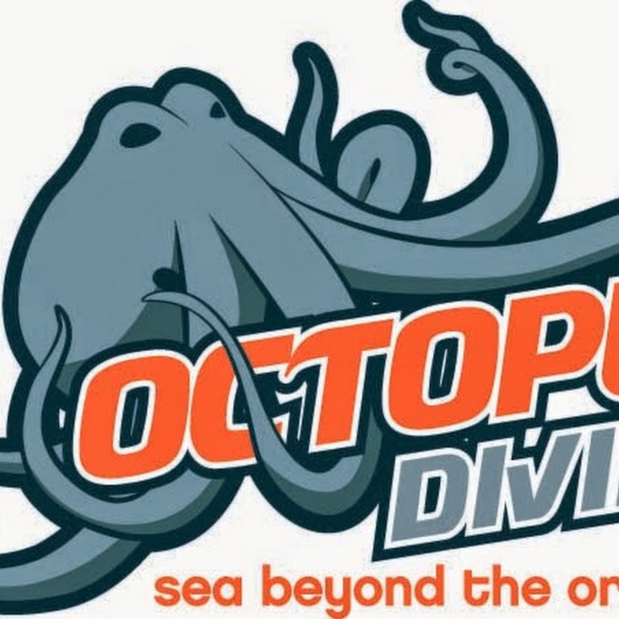 Octopus Diving and Snorkeling YouTube