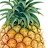 Pineapple Plays
