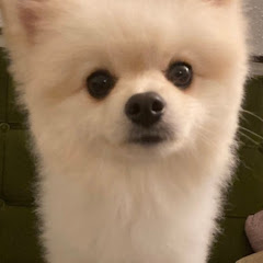 ひちくそ丸のゲームチャンネル