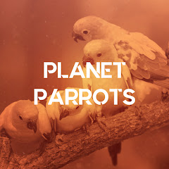 Planet Parrots