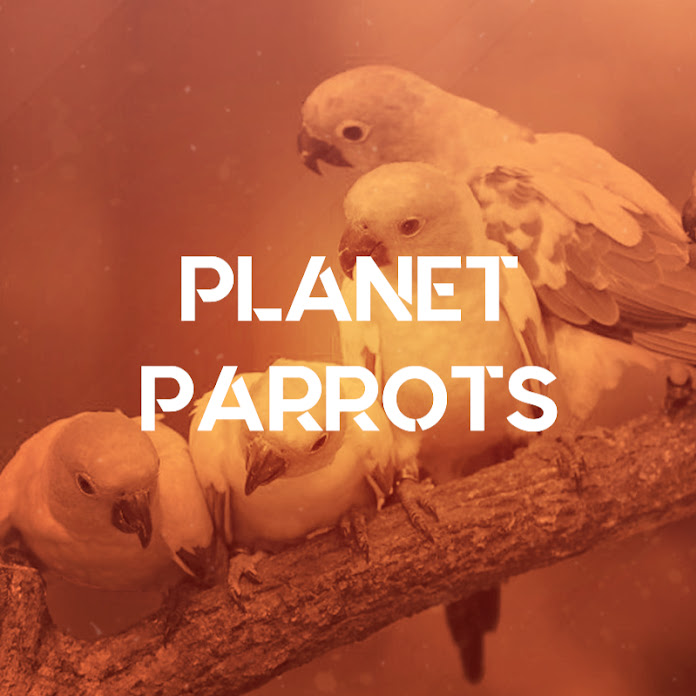 Planet Parrots Net Worth & Earnings (2026)