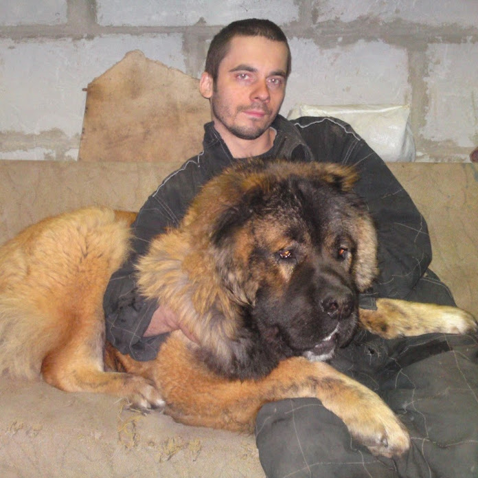 Андрей Шадринск Net Worth & Earnings (2026)