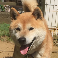 ノーマ