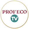 What could ProfecoTV buy with $100 thousand?