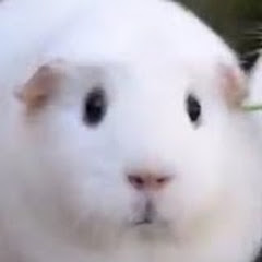 ラルディハイトの動画置き場