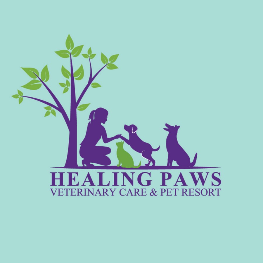 Healing Paws Veterinary Care & Pet Resort YouTube