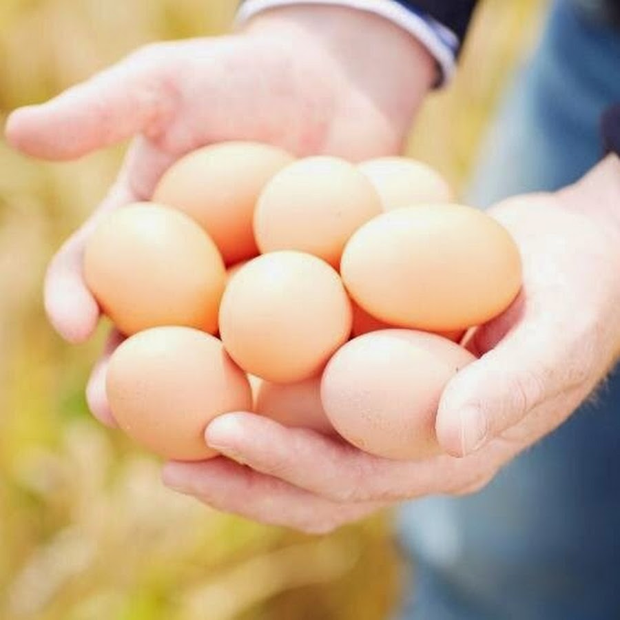 fairburns free range eggs