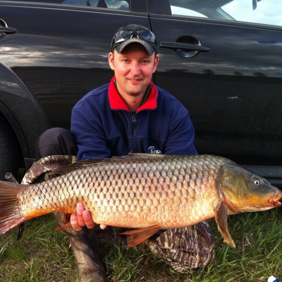 сазан. сазан рыба. 8-1. гибрид карпа и сазана. сазан (cyprinus carpio).