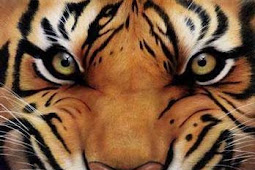 Unduh 80+ Gambar Harimau Gigit Pedang Terbaik HD