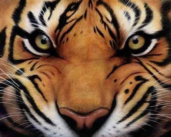 Gambar Harimau Gigit Keris