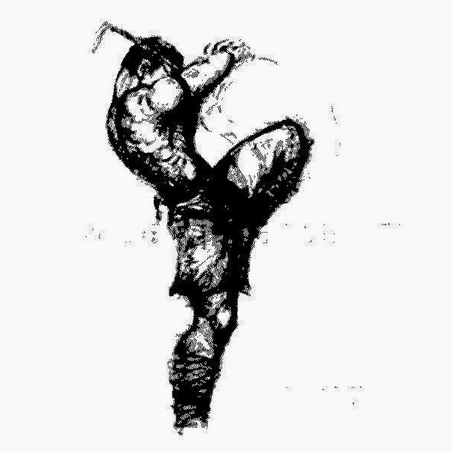 Тату тайский бокс эскизы