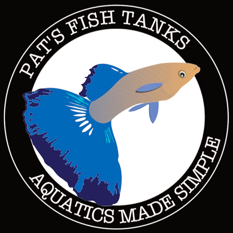 Pat's Fish Tanks - YouTube