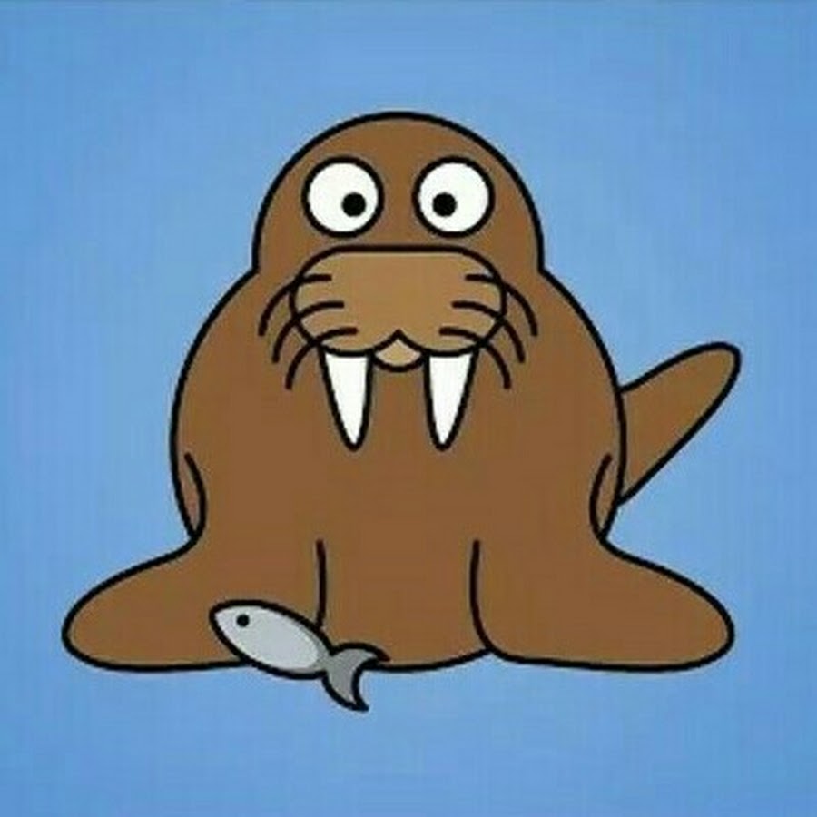 Милый морж рисунок