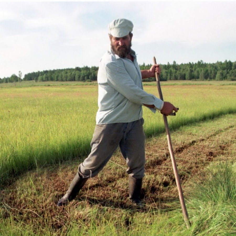 Коси коса. Крестьянин косит. Косарь работа. Косарь работа. Женщина на сенокосе.