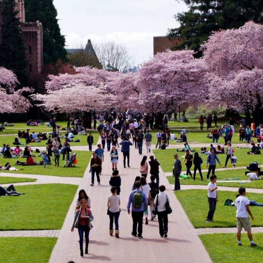 The Campus Quad YouTube