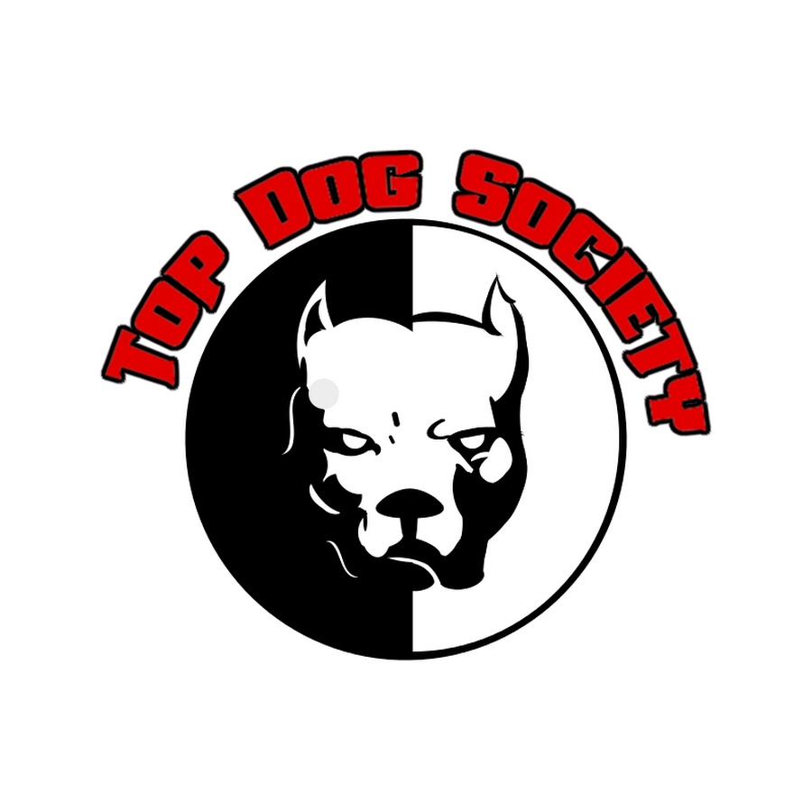 топ дог канал.