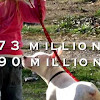miraclePaws
