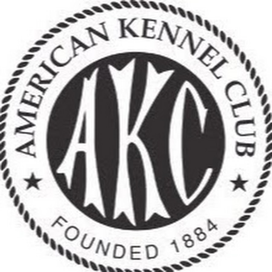 Akc obedience rally youtube