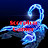 Scorpion Gamer