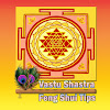 What could Vastu Shastra | Feng Shui Tips buy with $863.53 thousand?